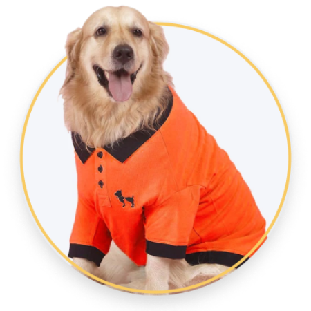 Picture for category Clothing