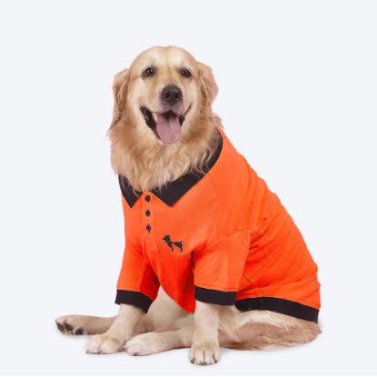 Picture of Solid Polo Dog T-Shirt - Orange