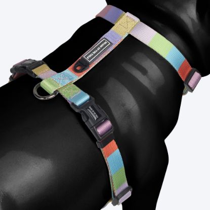 Picture of Nylon Chase the Rainbow Dog H Harness