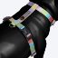 Picture of Nylon Chase the Rainbow Dog H Harness