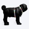 Picture of Nylon Chase the Rainbow Dog H Harness