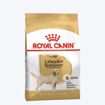 Picture of Royal Canin Labrador Retriever Adult Dry Dog Food