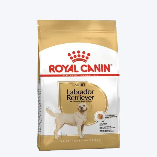 Picture of Royal Canin Labrador Retriever Adult Dry Dog Food