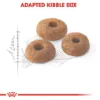 Picture of Royal Canin Fit 32 Adult Dry Cat Food