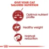 Picture of Royal Canin Fit 32 Adult Dry Cat Food